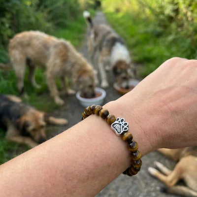 Pulsera Safari